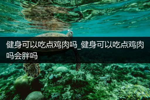 健身可以吃点鸡肉吗_健身可以吃点鸡肉吗会胖吗