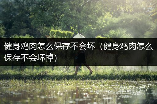 健身鸡肉怎么保存不会坏（健身鸡肉怎么保存不会坏掉）